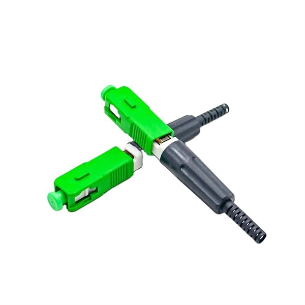 24-port switch with 10 Gigabit optical fiber