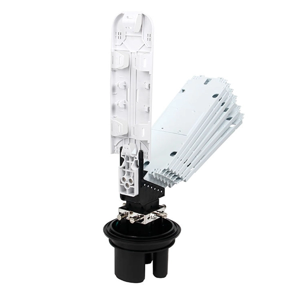 Can a 10 Gigabit fiber optic switch use a gigabit module 