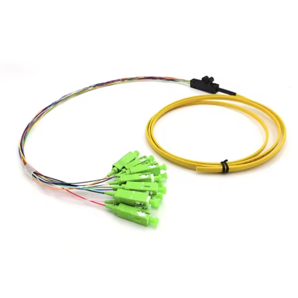 A 10 Gigabit optical module can be paired with a gigabit module