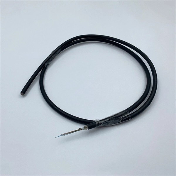 Optical Module Type 6
