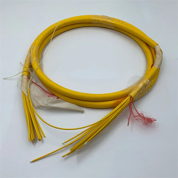 Frame Structure of Optical Transport Networks