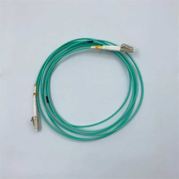 Do 10 Gigabit optical modules adapt to gigabit speeds