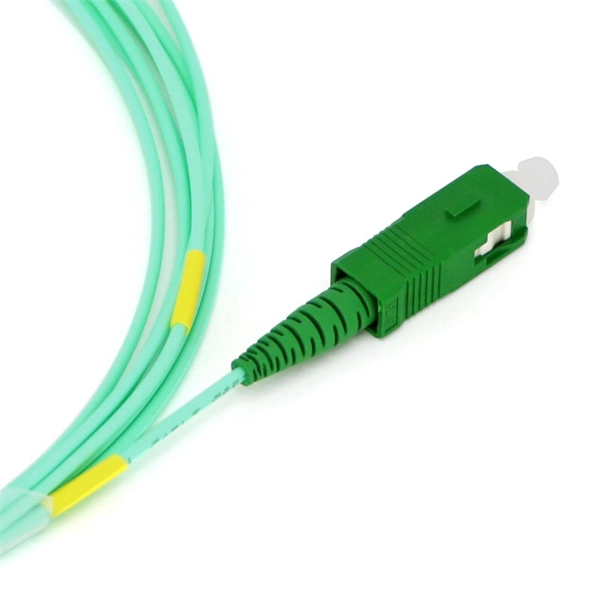 Selection Guide for Bestselling Access Switches for Intelligent Computing Centers