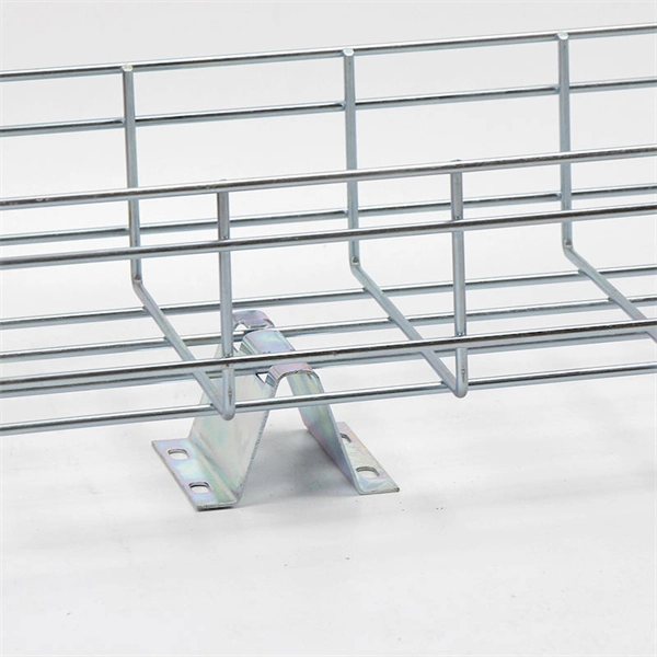 Cable Management Rack with 24 Ports and Network Port